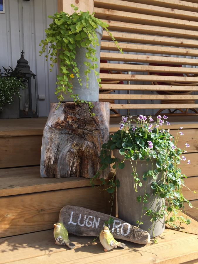 Lilla Hotellet Vilhelmina Luaran gambar